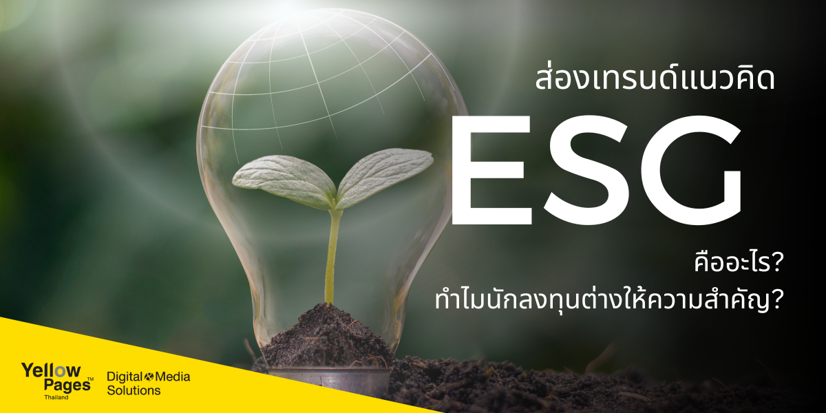 ส่องเทรนด์แนวคิด ESG คืออะไร ทำไมนักลงทุนต่างให้ความสำคัญ | ไทยแลนด์ ...