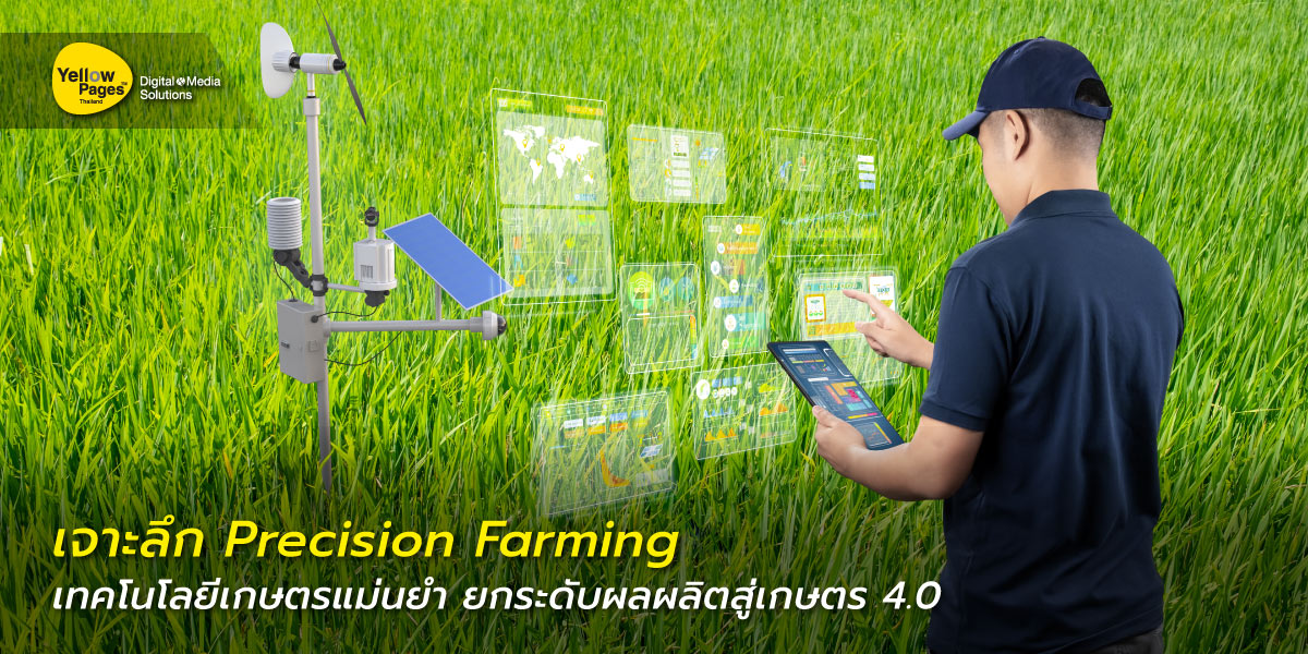 Precision Farming ช่วยให้เกษตรกรทำงานได้อย่างแม่นยำ มีประสิทธิภาพ และ เป็นมิตรต่อสิ่งแวดล้อมมากขึ้น