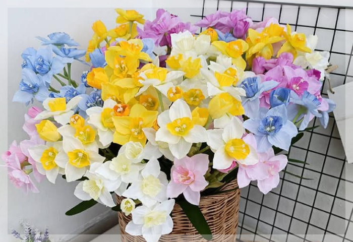 เดฟโฟลิดหรือนาซิสซัส (Daffodil , Narcissus)