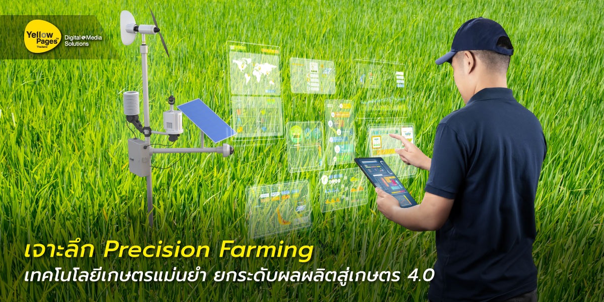 Precision Farming ช่วยให้เกษตรกรทำงานได้อย่างแม่นยำ มีประสิทธิภาพ และ เป็นมิตรต่อสิ่งแวดล้อมมากขึ้น