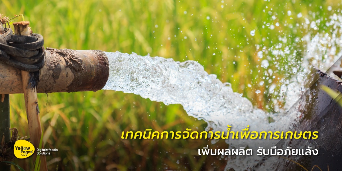 สำรวจเทคนิค และนวัตกรรมการจัดการน้ำเพื่อการเกษตร ที่ช่วยเพิ่มผลผลิต ลดต้นทุน และรับมือภัยแล้ง