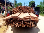 eucalyptus lumber, Plywood, Bamboo stick - Nipon woodshop Part., Ltd.