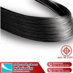 Yuenyong Steel Part., Ltd.