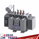 Oil Immersed Transformers - Asia Trafo Co Ltd