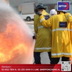 Nippon Chemical Co., Ltd.