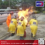 Nippon Chemical Co., Ltd.