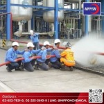 Nippon Chemical Co., Ltd.