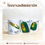 Boonsin Ceramic Co., Ltd.