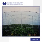 Wandee Panich Industry Co Ltd