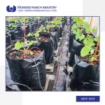 Wandee Panich Industry Co Ltd