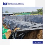 Wandee Panich Industry Co Ltd