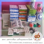 Nakhon Ratchasima Rienthong Electric Part., Ltd.