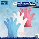 Bags and Glove Co Ltd