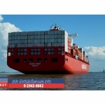 Freight Forwarder - Southern Shipping & Transport Co Ltd