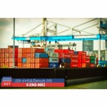 Customs clearance consultation - Southern Shipping & Transport Co Ltd
