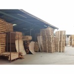 Palet Wood-Bonus Supply