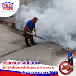 Protector Power (Thailand) Co Ltd