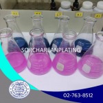 Sor Charearn Plating Co., Ltd.