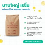 Bangyai Resin (2006) Co., Ltd.