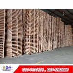 Samut Sakhon wooden pallet factory - PP Wood Product LP.