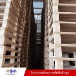 Wooden pallet factory - PP Wood Product LP.