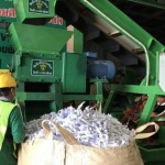 Wong Panit Lumlukka Co., Ltd.