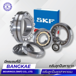 Ball bearing supplier, including rare ball bearings, in Nakhon Pathom.