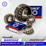 Ball bearing supplier, including rare ball bearings, in Nakhon Pathom.