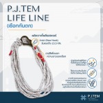 P.J. Tem Co., Ltd.