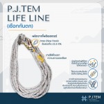 P.J. Tem Co., Ltd.