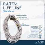 P.J. Tem Co., Ltd.