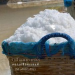 Wholesale High-Quality Shrimp Pond Salt - Samut Sakhon Factory Prices - Phetsakorn Salt