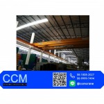 Design electric crane - CCM Engineering And Service Co., Ltd.