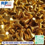 รับผลิตสกรูน๊อต - รับผลิตสกรู น็อต ยูโบลท์ - RP-FASTENER