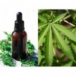 Fragrance oil inspired by Cannabis - F T Fragrance Floressence Co., Ltd.