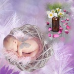 Fragrance oil for baby/ allergen free - F T Fragrance Floressence Co., Ltd.