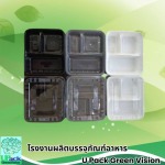 U Pack Green Vision Co, Ltd.
