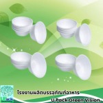 U Pack Green Vision Co, Ltd.