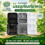U Pack Green Vision Co, Ltd.
