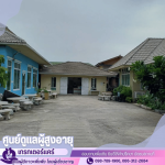 The Great Nursing Home Co., Ltd.