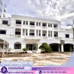 The Great Nursing Home Co., Ltd.