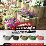 Sor.Aroon Concrete Pathumthani Co., Ltd.