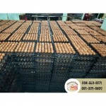 รับต้มไข่แก้บน กรุงเทพ - ณิชากมลไข่สด-พรชัย บุญส่งฟาร์ม (ขายส่งไข่ไก่)