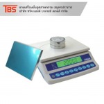 Truck And Balance Scales Co., Ltd.