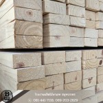 Blackwood Enterprise LP