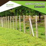 Silakan Industry Co Ltd