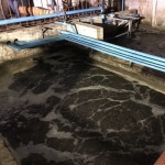  Activated Sludge Process (AS) - ATP Innovations Co., Ltd.