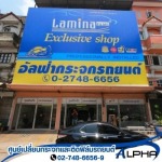 Alpha Sale Co Ltd