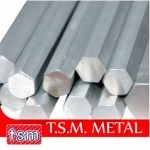 TSM Metal Co., Ltd.