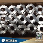 Steel Grow 89 Co., Ltd.